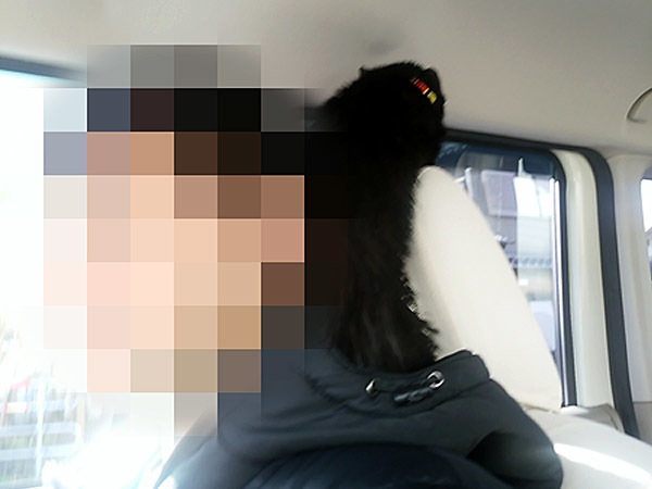 2016-01-10_fuki-3.jpg