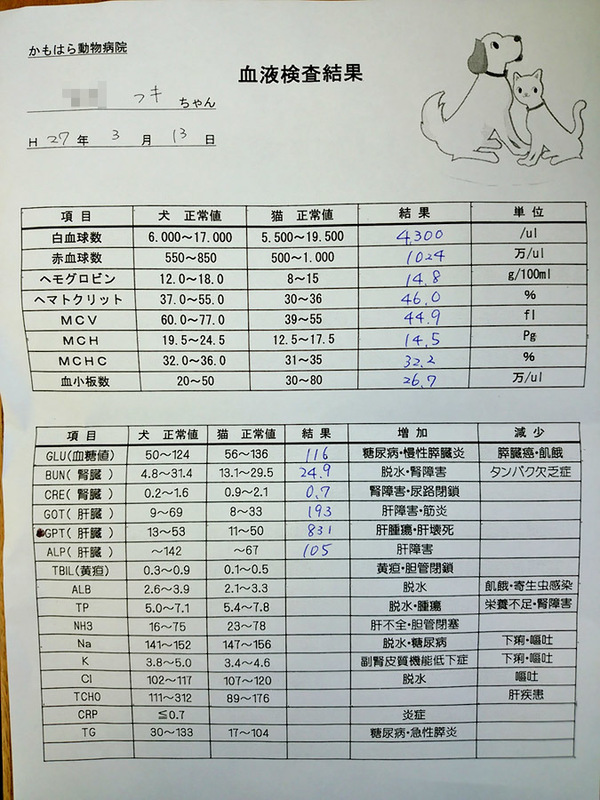 2016-01-10_fuki-diagnosis2015.jpg
