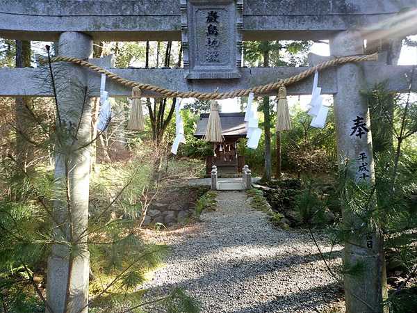 2016-01-10_tosa-jinja4.jpg