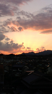 warugakiaction-2009-11-15_location071005.jpg