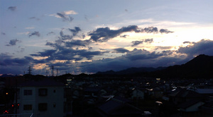warugakiaction-2009-11-15_location080815b.jpg