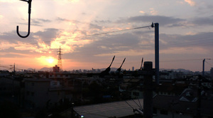 warugakiaction-2009-11-15_location081019.jpg