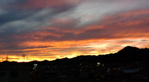 warugakiaction-2009-11-15_location081111.jpg