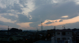 warugakiaction-2009-11-15_location081117.jpg