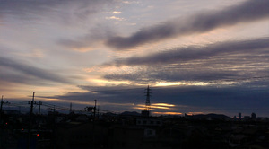 warugakiaction-2009-11-15_location081123a.jpg