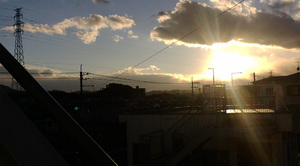 warugakiaction-2009-11-15_location081206.jpg