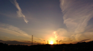 warugakiaction-2009-11-15_location090201b.jpg
