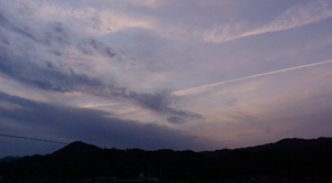 warugakiaction-2009-11-15_location090321.jpg