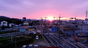 warugakiaction-2009-11-15_location090328.jpg