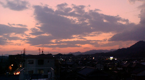 warugakiaction-2009-11-15_location091017.jpg