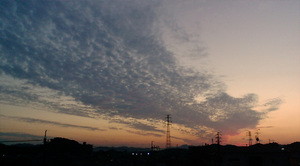 warugakiaction-2009-11-15_location091105.jpg