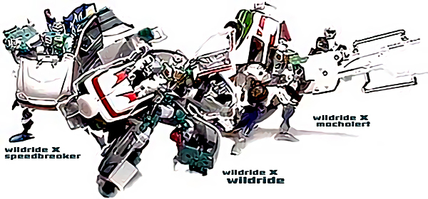 warugakiaction-2009-12-20_001229wwild.jpg